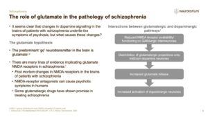 Schizophrenia - Neurobiology and Aetiology - slide 32